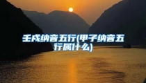 壬戍纳音五行(甲子纳音五行属什么)