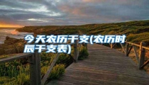 今天农历干支(农历时辰干支表)