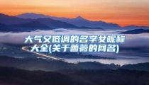 大气又低调的名字女昵称大全(关于蔷薇的网名)