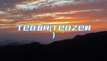 丁巳日丑月(丁巳日乙巳时)