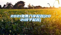 2021免费八字起名(2021孩子起名)
