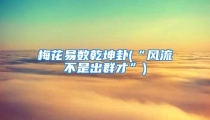 梅花易数乾坤卦(“风流不是出群才”)