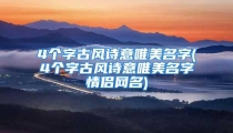 4个字古风诗意唯美名字(4个字古风诗意唯美名字情侣网名)
