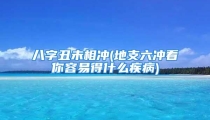 八字丑未相冲(地支六冲看你容易得什么疾病)