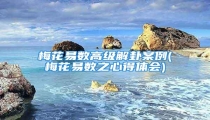 梅花易数高级解卦案例(梅花易数之心得体会)
