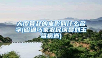 大傻算卦的电影叫什么名字(昭通巧家农民演员刘玉笃病逝)