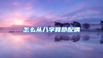怎么从八字算命配偶