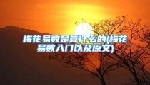 梅花易数是算什么的(梅花易数入门以及原文)