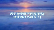 天干地支藏干代表什么(地支为什么藏天干)