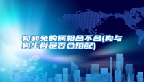 狗和兔的属相合不合(狗与狗生肖是否合婚配)