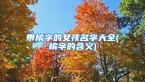 带槟字的女孩名字大全(槟字的含义)