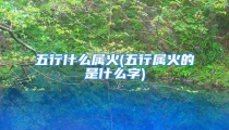 五行什么属火(五行属火的是什么字)