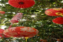 属兔性格优点和缺点(优缺点大全)
