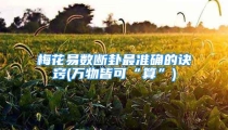 梅花易数断卦最准确的诀窍(万物皆可“算”)