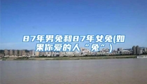 87年男兔和87年女兔(如果你爱的人“兔”)