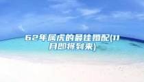 62年属虎的最佳婚配(11月即将到来)