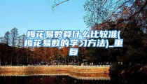 梅花易数算什么比较准(梅花易数的学习方法)_重复