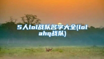 5人lol战队名字大全(lolahq战队)