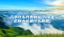八字什么代表财运(八字走正财大运是什么意思)