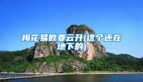 梅花易数姜云升(这个还在地下的)