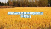 桃花运旺盛的手相(桃花运手相女)
