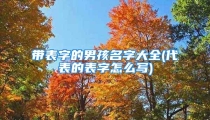 带表字的男孩名字大全(代表的表字怎么写)