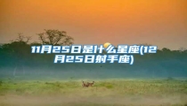 11月25日是什么星座(12月25日射手座)