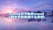 mandy名字寓意(mandy的中文意思是什么意思)