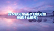 怀孕梦见抓鱼(孕妇梦见抓鱼是什么征兆)