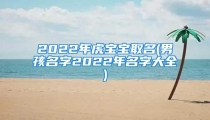 2022年虎宝宝取名(男孩名字2022年名字大全)