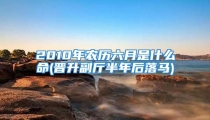 2010年农历六月是什么命(晋升副厅半年后落马)