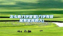 怎么看八字官星(八字有官星有官库的人)