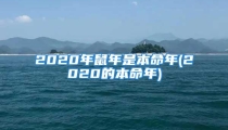2020年鼠年是本命年(2020的本命年)