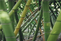 地位高爱面子的八字特征(爱面子有哪些表现)