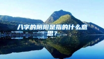 八字的阴阳是指的什么意思?