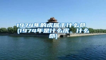 1974年的虎属于什么命 (1974年是什么虎、什么命)