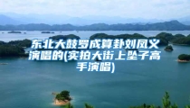 东北大鼓罗成算卦刘凤义演唱的(实拍大街上坠子高手演唱)