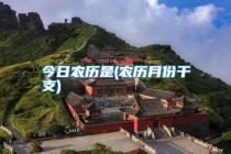 今日农历是(农历月份干支)