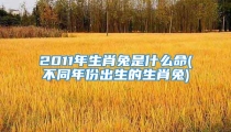 2011年生肖兔是什么命(不同年份出生的生肖兔)