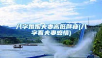 八字婚姻夫妻高低胖瘦(八字看夫妻感情)