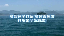 梦到怀孕打胎(梦见去医院打胎是什么意思)