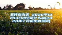五行查询表 2020年10月13日出生是什么命(2020年十月出生男运势)