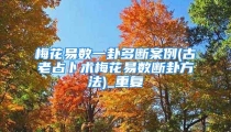 梅花易数一卦多断案例(古老占卜术梅花易数断卦方法)_重复