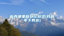 临西哪里算卦比较灵(我的年下男友)