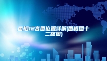 面相12宫图位置详解(面相图十二宫图)