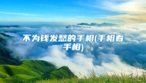 不为钱发愁的手相(手相看手相)