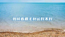 如何看眉毛财运好不好