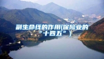 副生命线的作用(保险业的“十四五”)