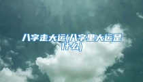 八字走大运(八字里大运是什么)