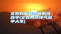文姓好听稀少的男孩名字(文姓男孩洋气名字大全)